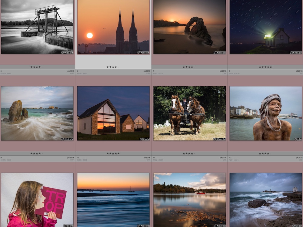 la rétro. de 2018 en 12 photos