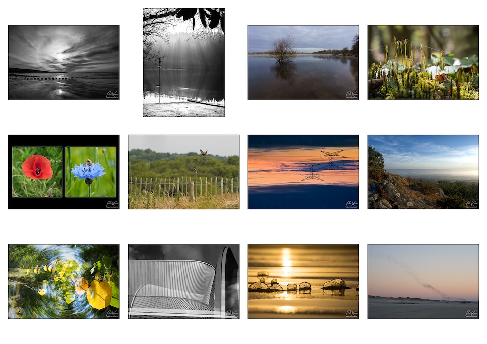 la rétro. de 2025 en 12 photos